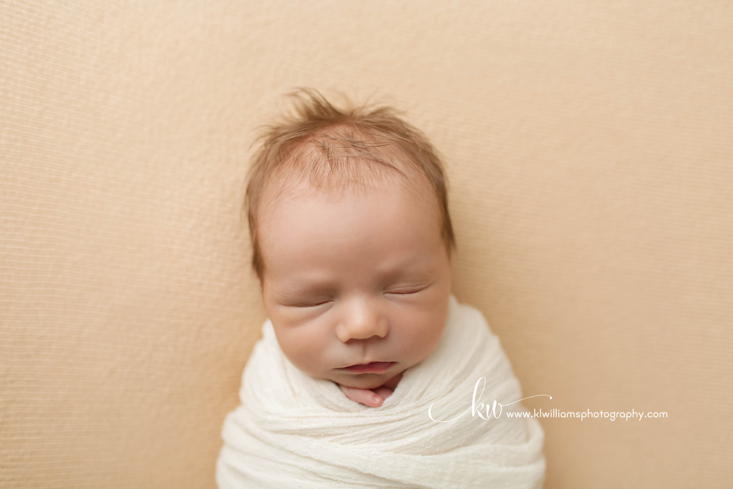 Kelly Williams Photography » Custom Newborn Portraiture, Harrisonburg, VA